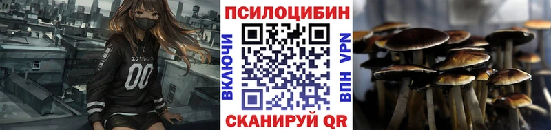 Псилоцибиновые грибы прущие грибы  Купить закладки  Кубинка 
